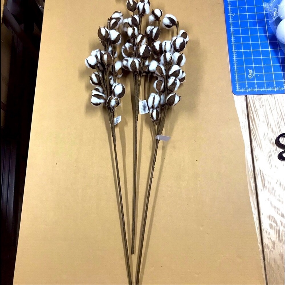 3 Magnolia Cotton Stem